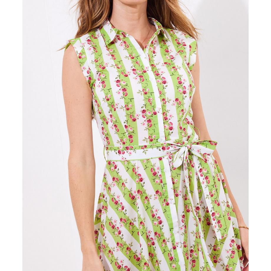 Joe Browns Gestreiftes geblümtes tailliertes Kleid  