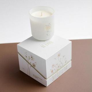 Zakuw  Kerze Du wirst Papa 