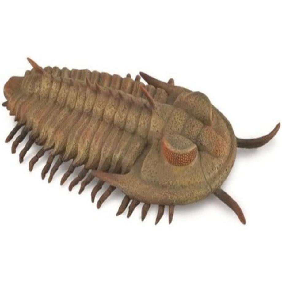 CollectA  Prehistoric World Riesen-Trilobit (Redlichia rex trilobite) 