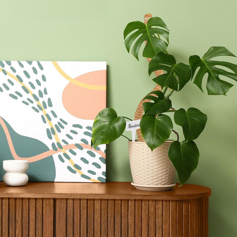 B2X  2er Set Kokosriegel 65 cm Zubehör 