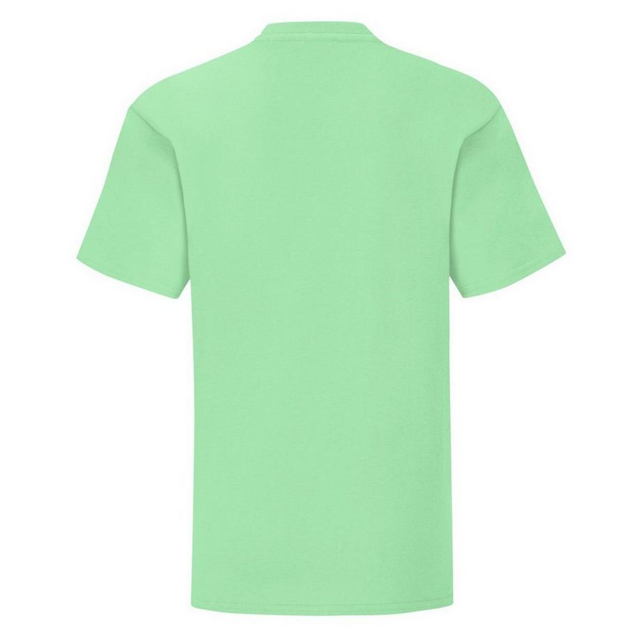 Fruit of the Loom  Iconic TShirt 