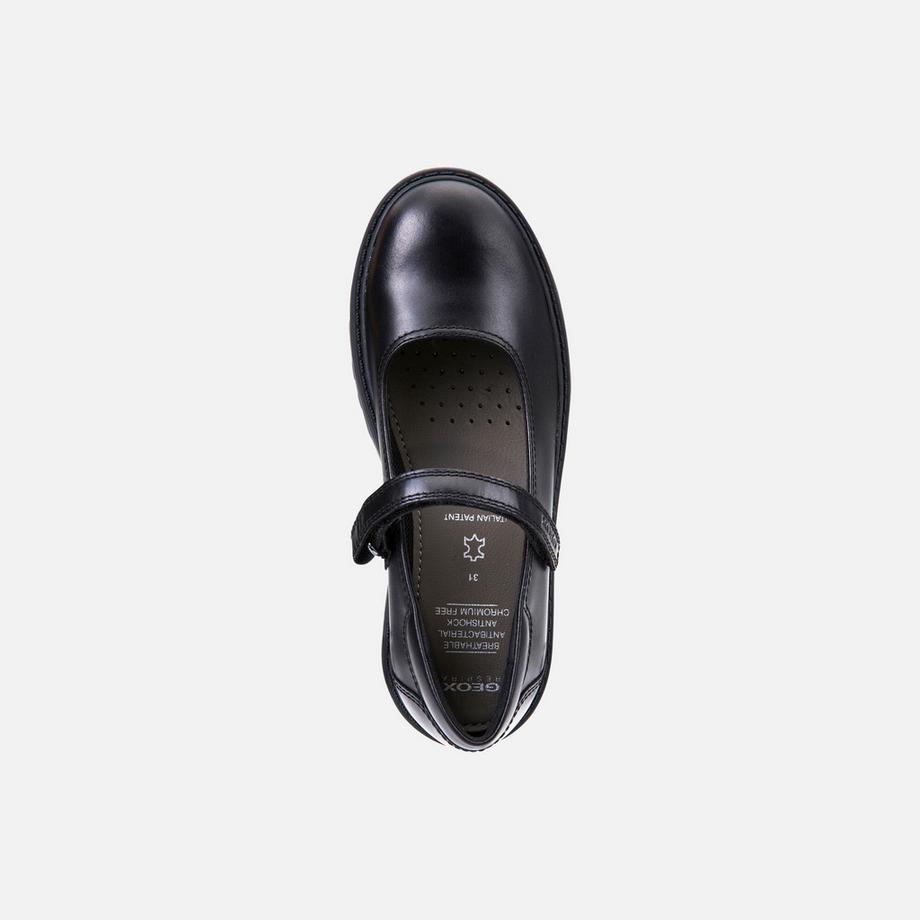 GEOX Ballerines femme  Casey Nappa  