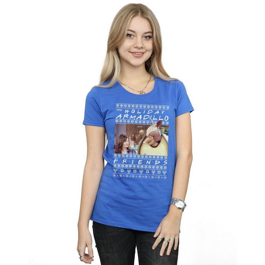 Friends Holiday Armadillo T-Shirt  