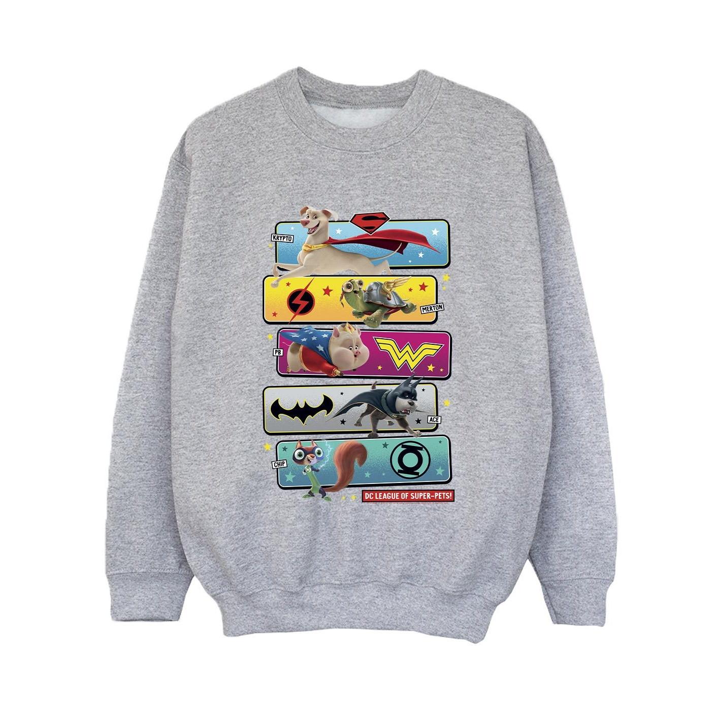 DC COMICS  DC League Of SuperPets Sweatshirt 