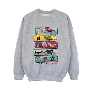 DC COMICS  DC League Of SuperPets Sweatshirt 