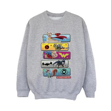 DC League Of SuperPets Sweatshirt