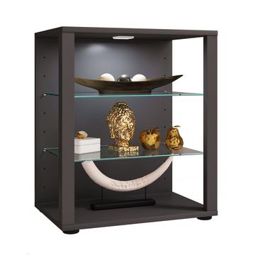 Bois verre vitrine de collection vitrine de verre vitrine stand vitrine Glasol L