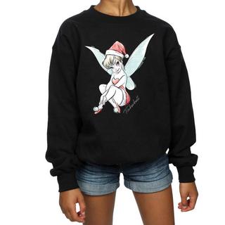 Disney  Fairy Sweatshirt 