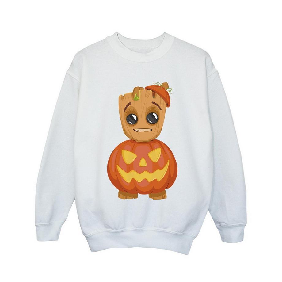 Sweat motifs Groot et citrouille