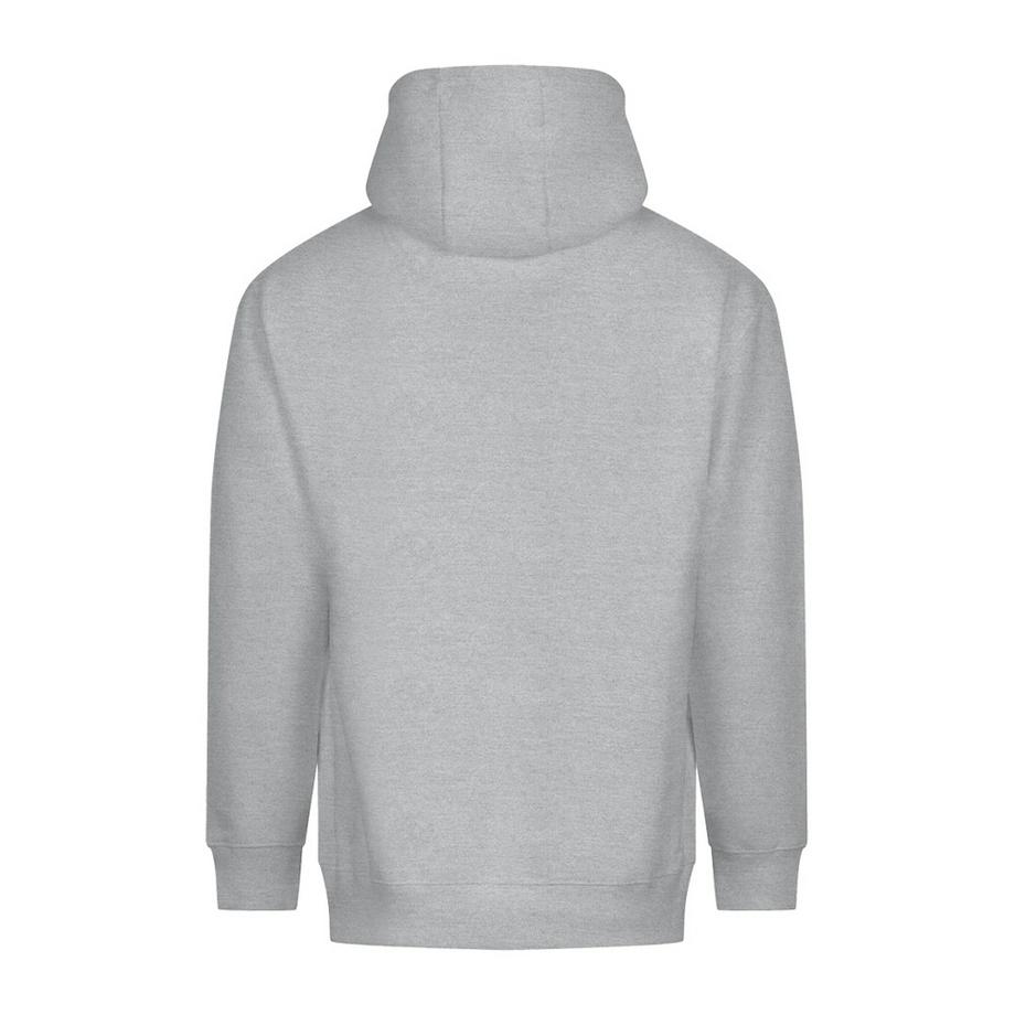 AWDis  Vision Kapuzenpullover  , Schwer 