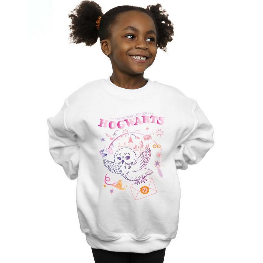 Harry Potter  Sweatshirt 