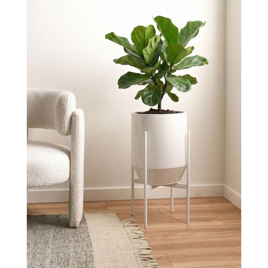 Beliani Blumentopf mit Beinen aus Eisen Minimalistisch HYBRIDUM  
