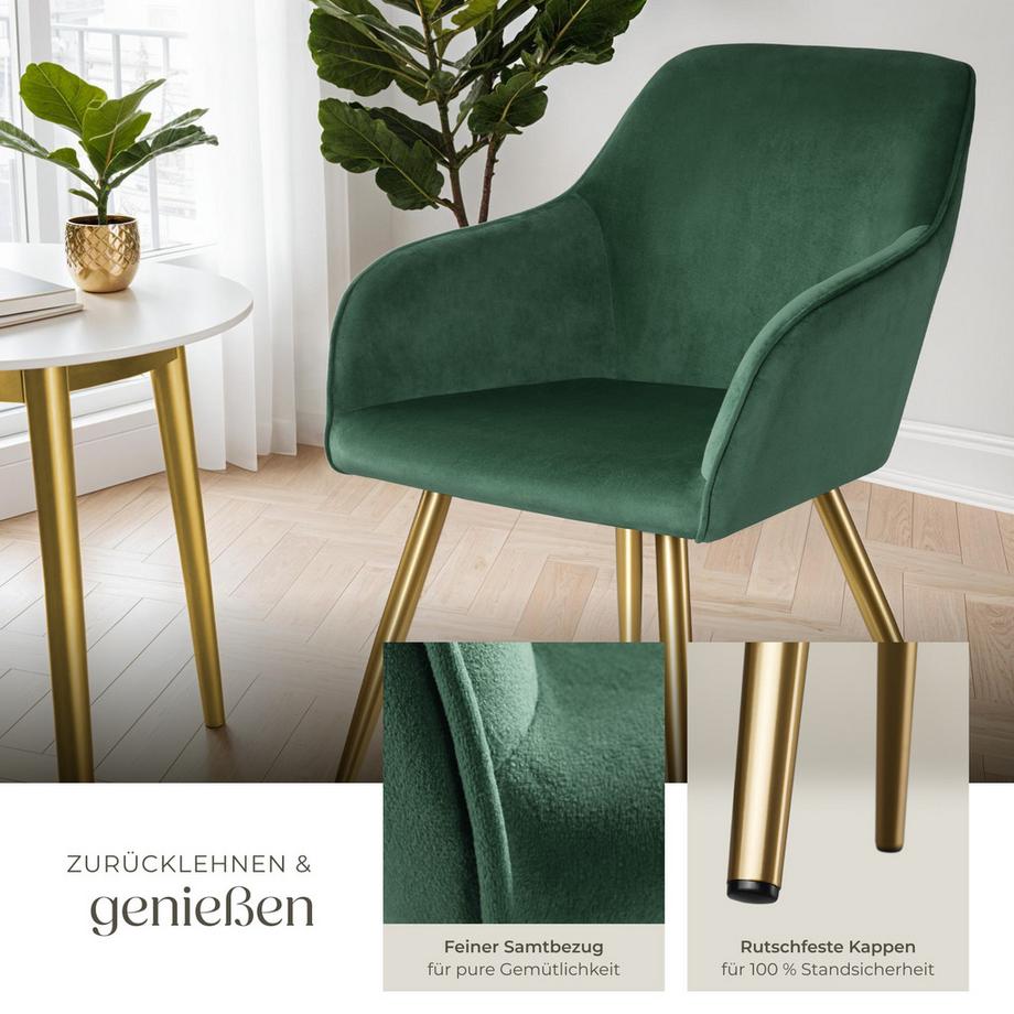Tectake Esszimmerstuhl Marilyn gepolstert, in Samtoptik durchgehende Lehne  