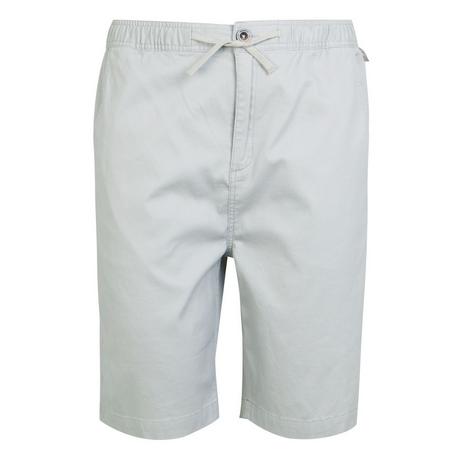 Regatta Aldan Shorts  