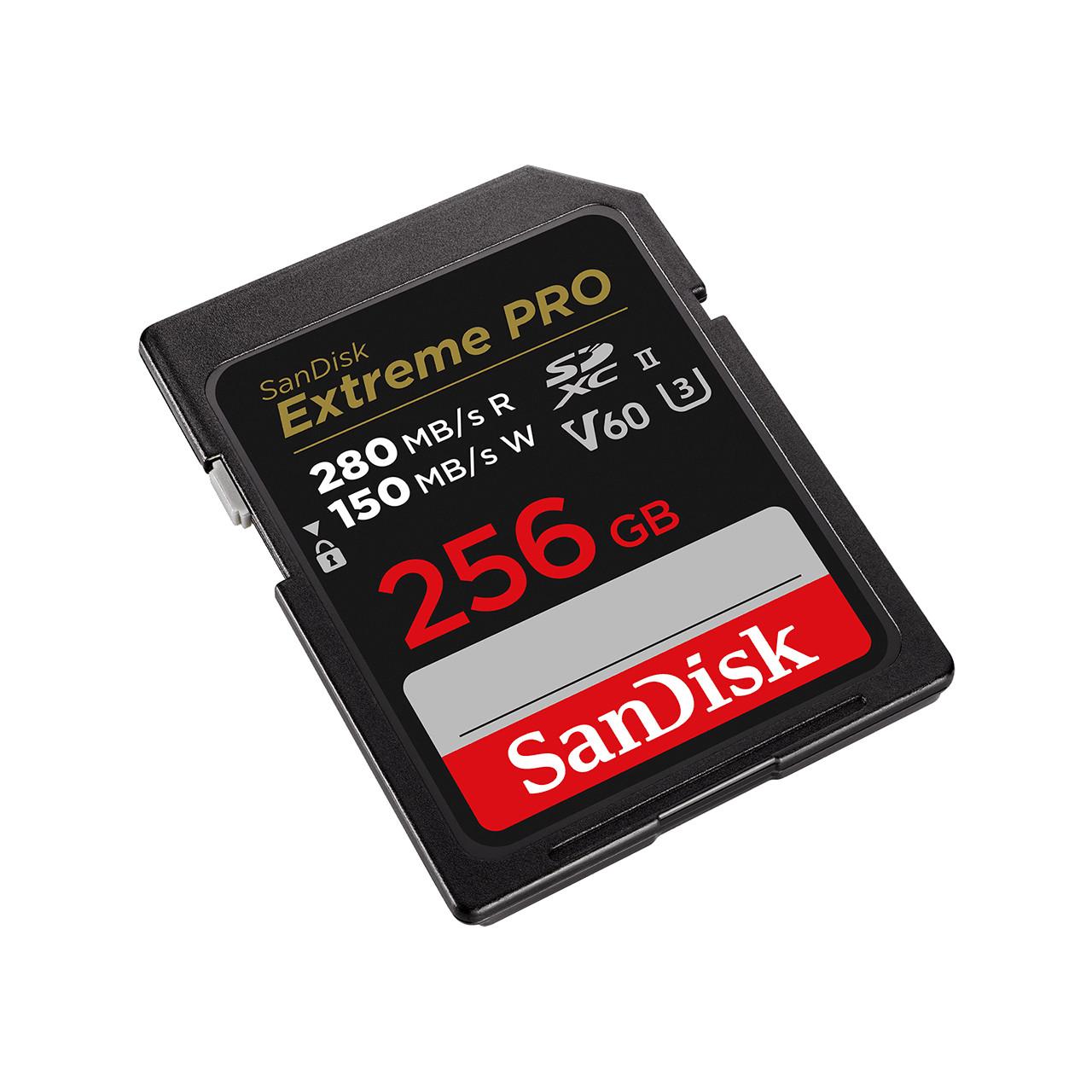 SanDisk  SanDisk SDSDXEP-256G-GN4IN mémoire flash 256 Go SDXC UHS-II Classe 10 