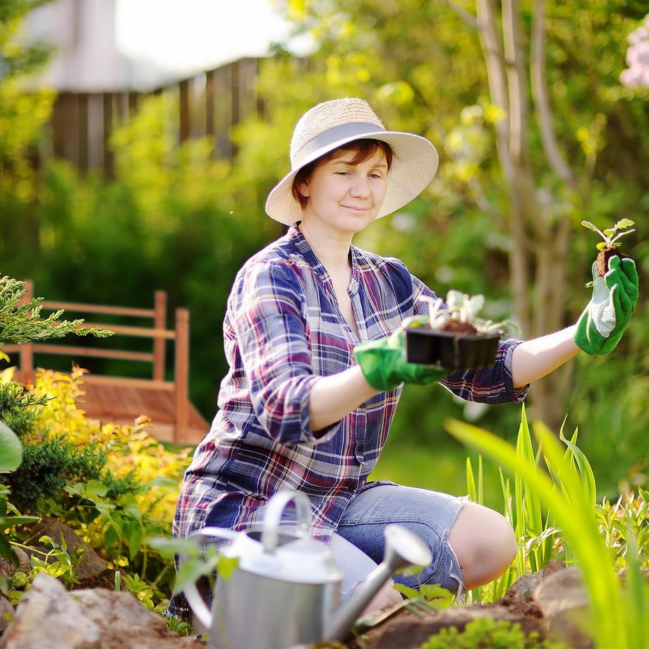 B2X  Holzbrücke über Teich mit Geländer 