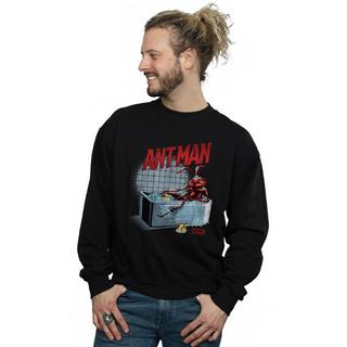 MARVEL  Bathing Ant Sweatshirt 