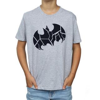 DC COMICS  TShirt 