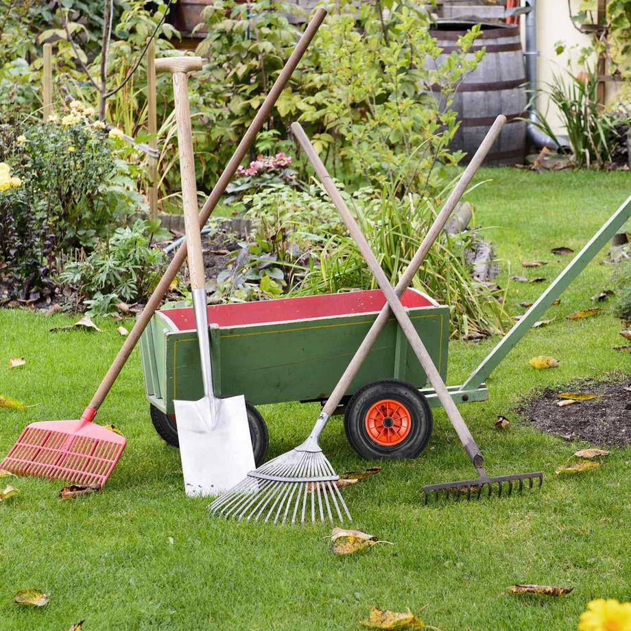 B2X  Rad für Schubkarre mit Schlauch 