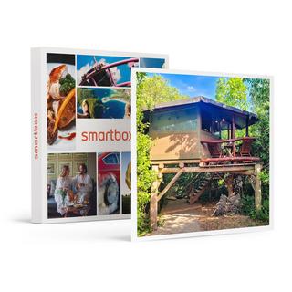 Smartbox  2 nuits insolites dans une cabane dans les arbres au nord de la Bavière - Coffret Cadeau 