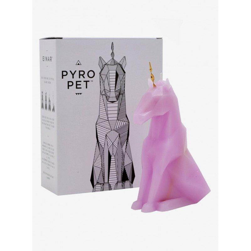 PyroPet PyroPet Einar  