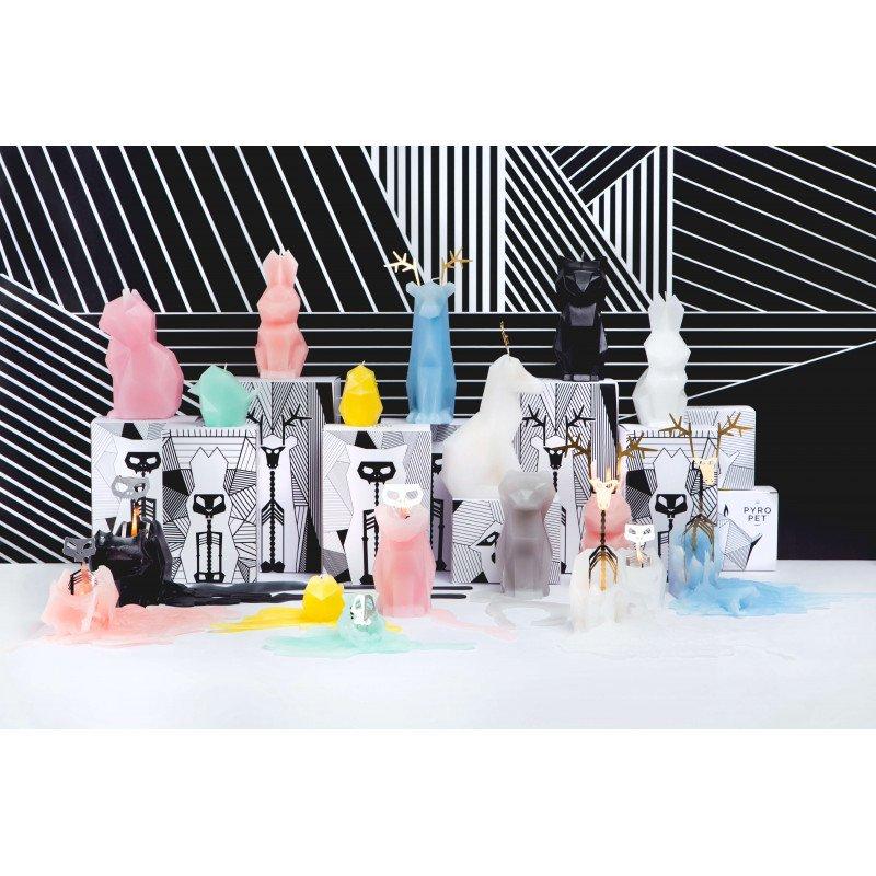 PyroPet PyroPet Einar  