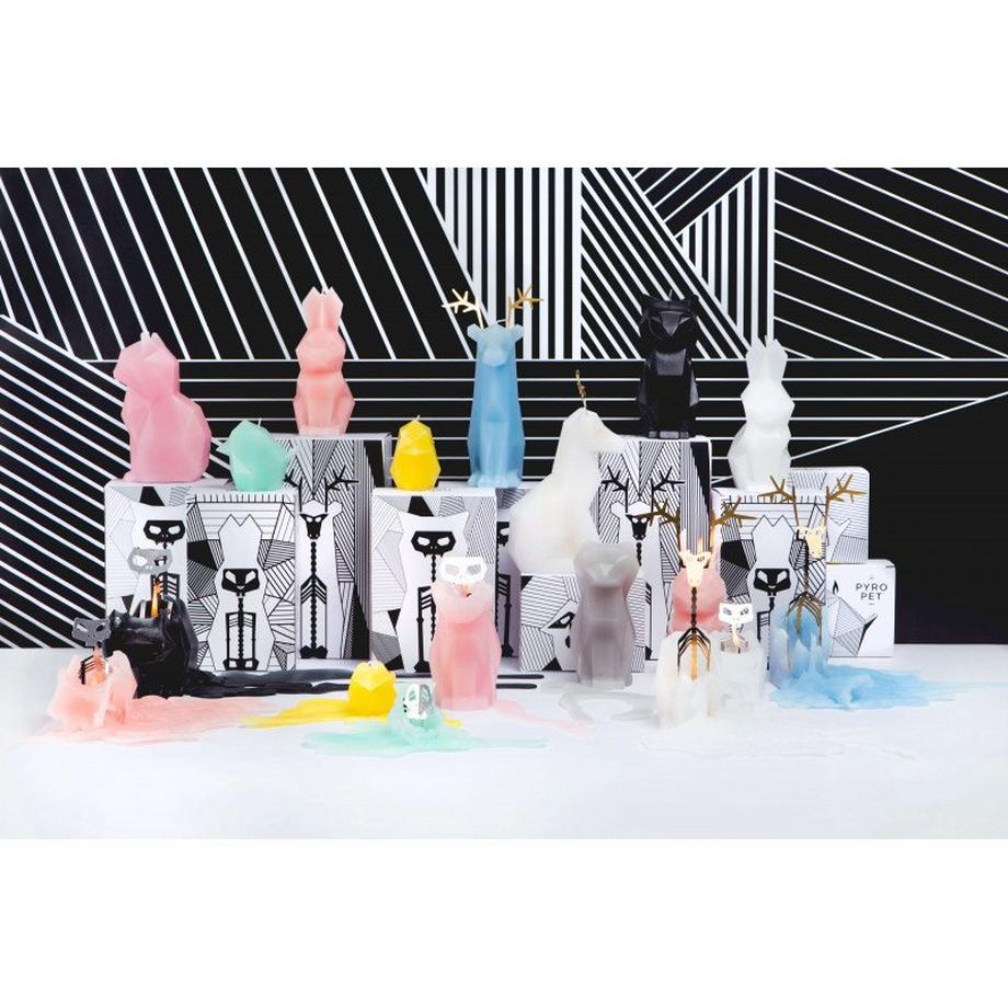 PyroPet PyroPet Einar  