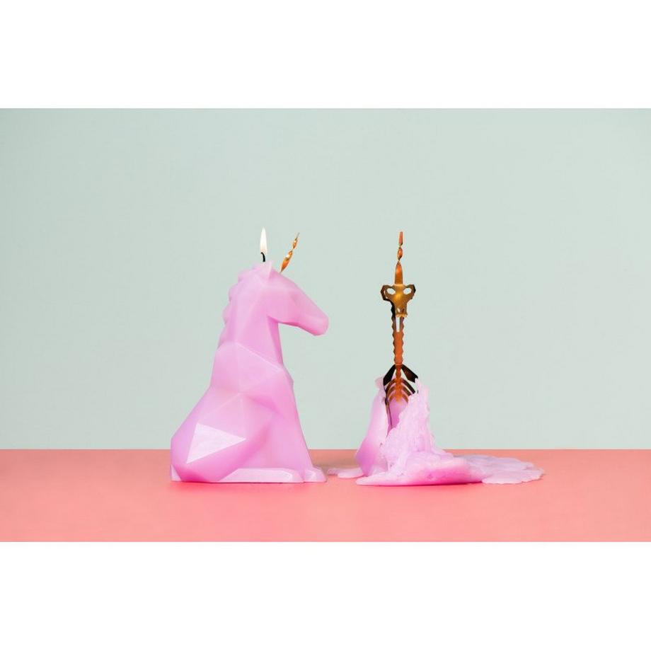 PyroPet PyroPet Einar  