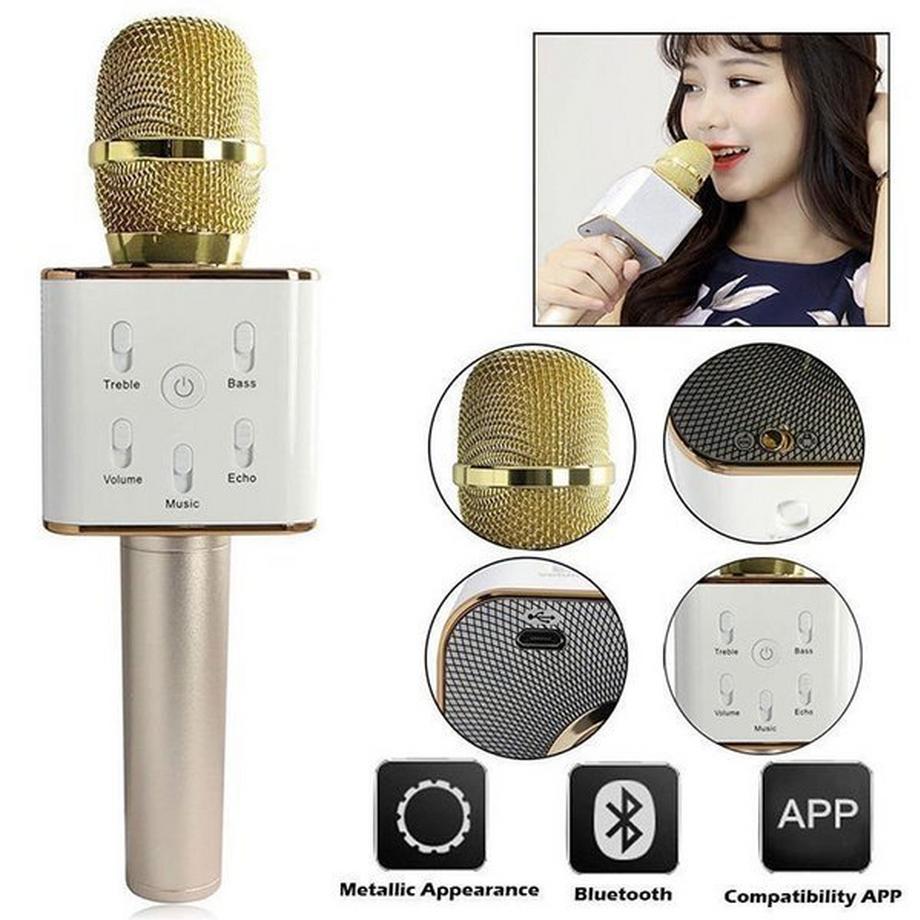 eStore  KTV Karaoke-Mikrofon 