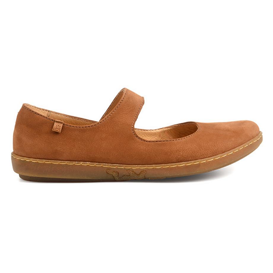 El Naturalista  Coral N5301 