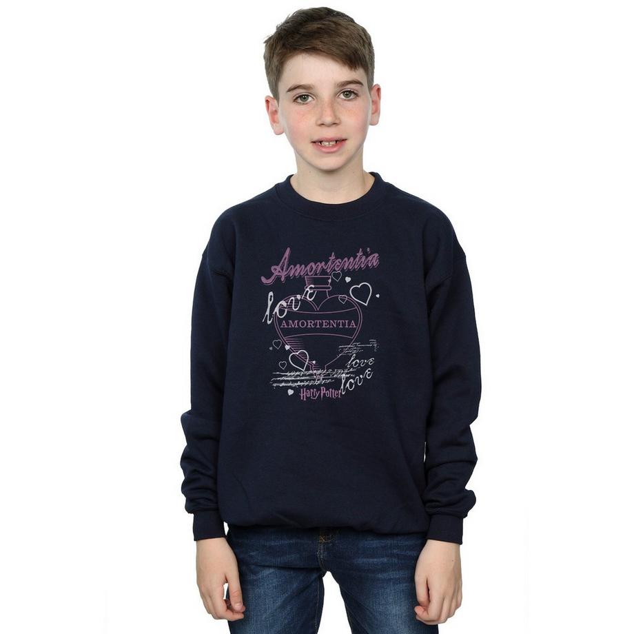 Harry Potter  Sweat AMORTENTIA POTION 