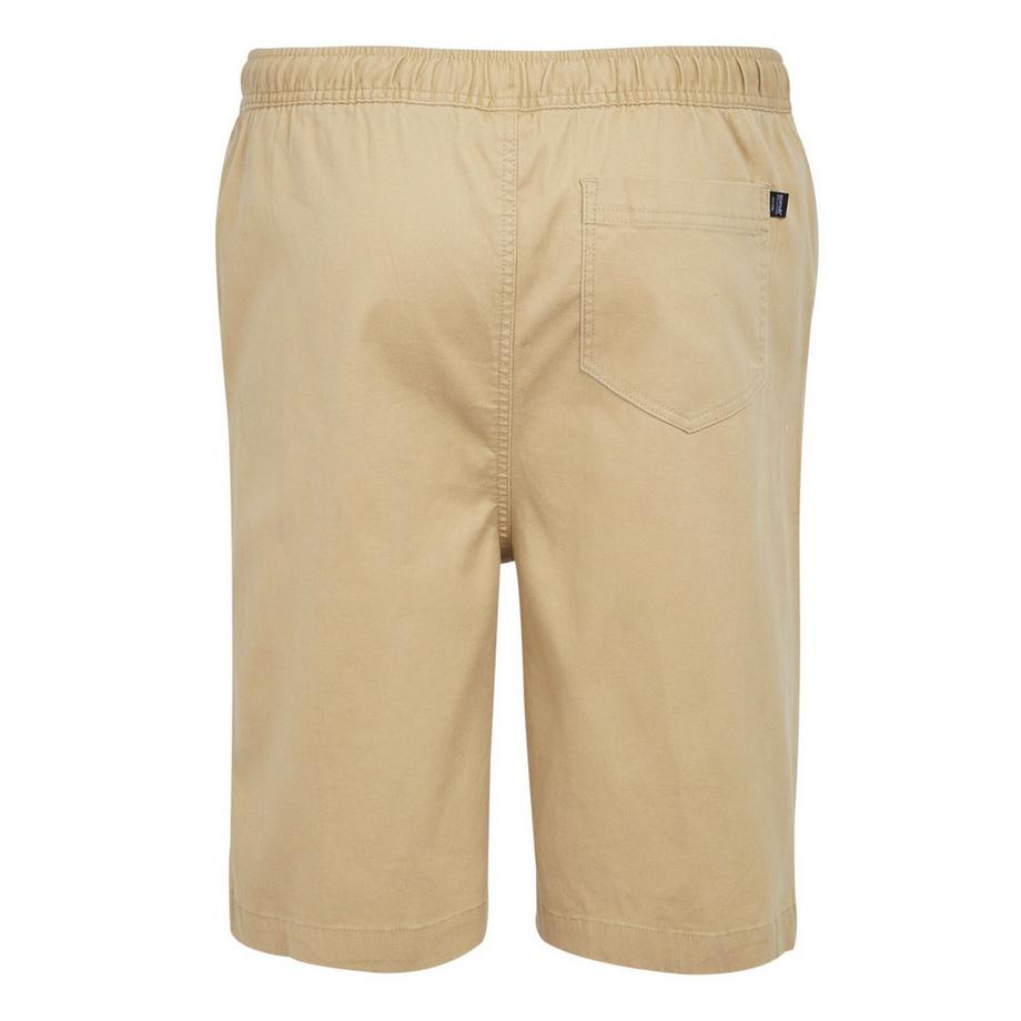 Regatta Short Aldan  