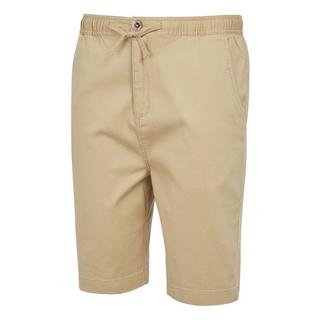 Regatta  Aldan Shorts 