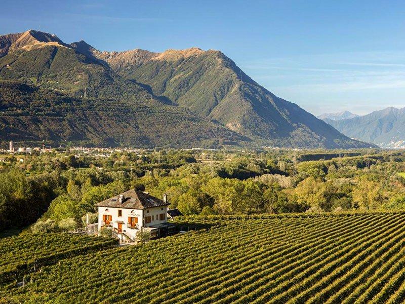 Smartbox  Soggiorno di 2 notti in agriturismo 3* nel cuore dei vigneti del Canton Ticino - Cofanetto regalo 