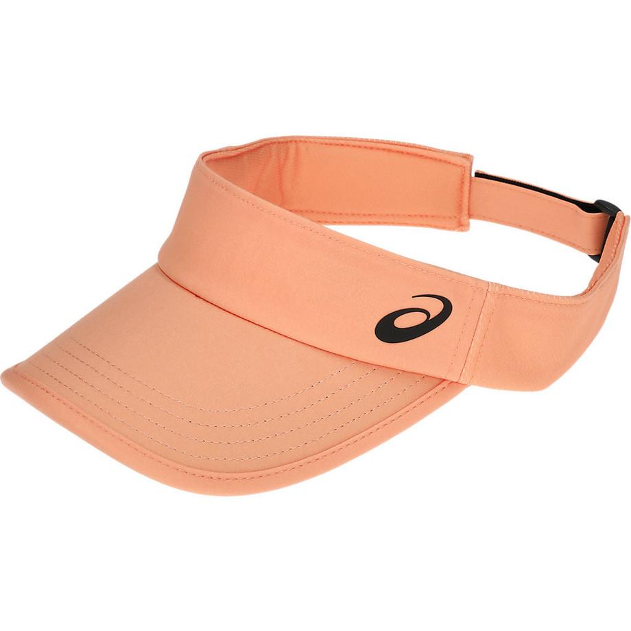PF Visor