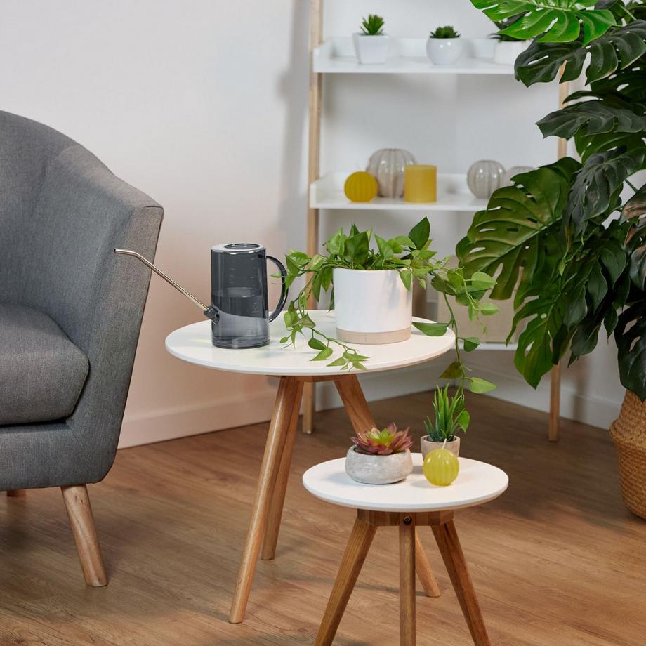 B2X  Gießkanne für Topfpflanzen 1 Liter 