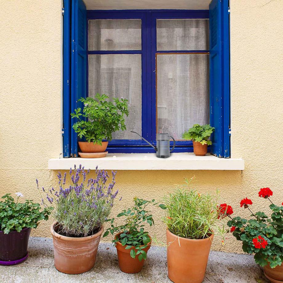 B2X  Gießkanne für Topfpflanzen 1 Liter 