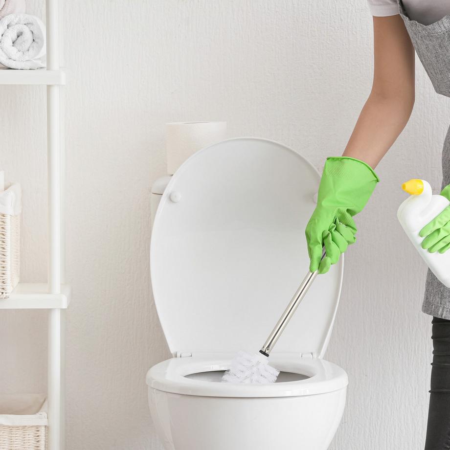 B2X  5 Ersatz-Toilettenbürsten 