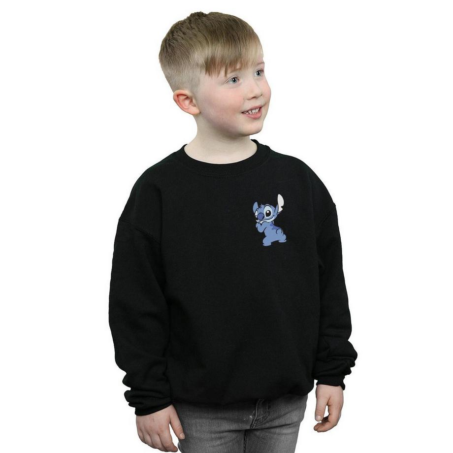 Disney  Sweatshirt 