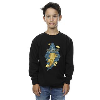 DC COMICS  Fury Of The Gods Sweatshirt 