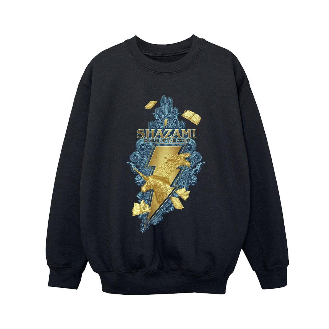 DC COMICS  Fury Of The Gods Sweatshirt 