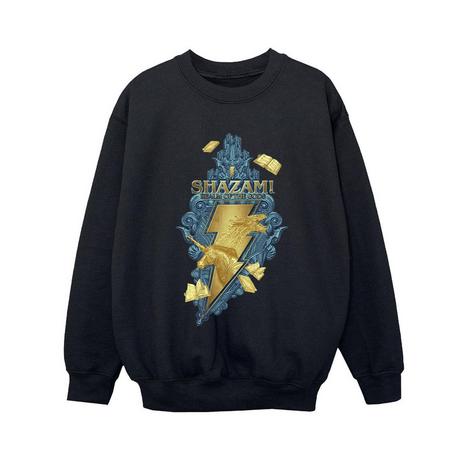 DC COMICS  Fury Of The Gods Sweatshirt 