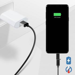 Avizar  USB-C / Micro USB Adapter Schwarz 