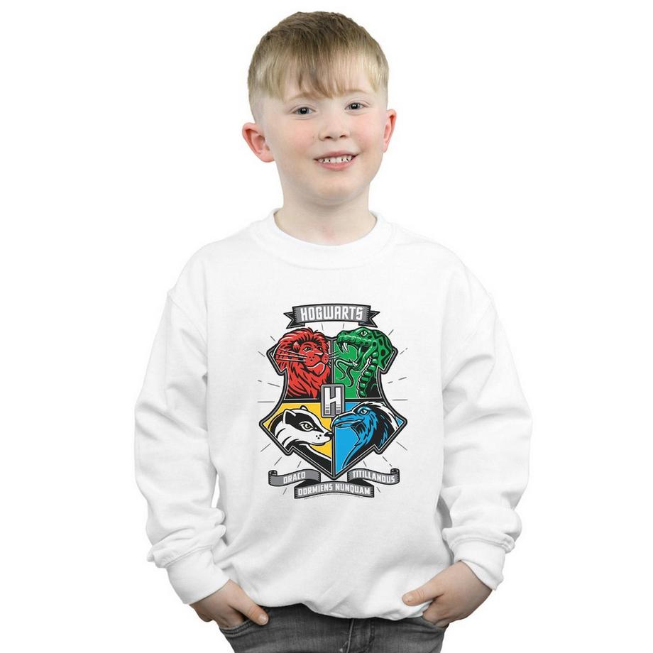 Harry Potter  Hogwarts Sweatshirt 