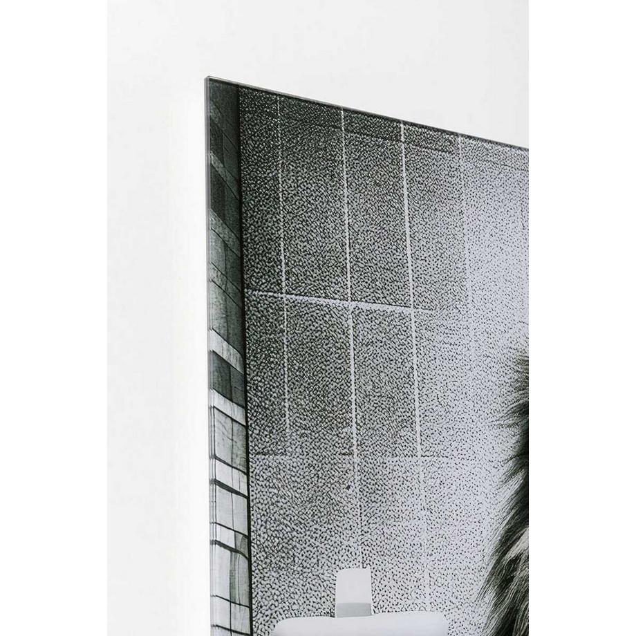KARE Design Glasbild Bath Lion 60x80  