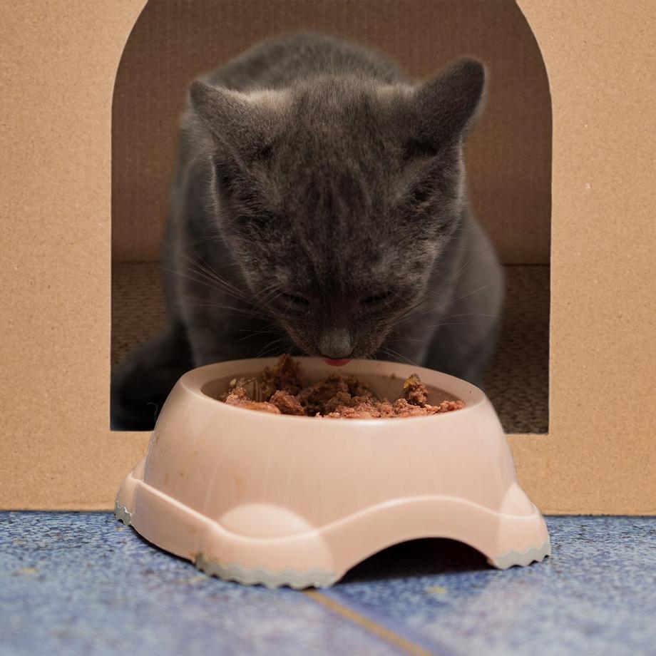 B2X  Maison pour chat en carton avec griffoir 