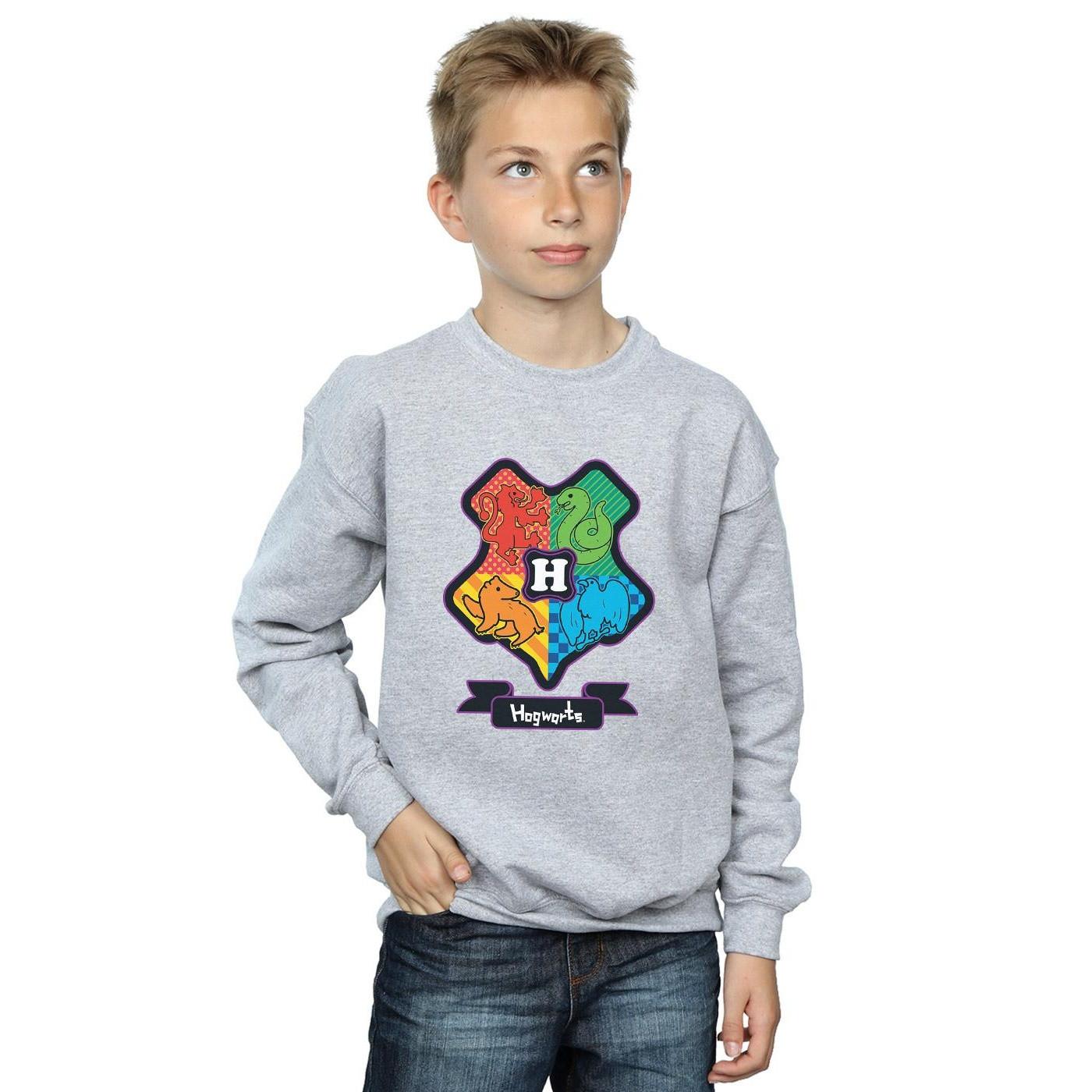 Harry Potter  Sweatshirt 