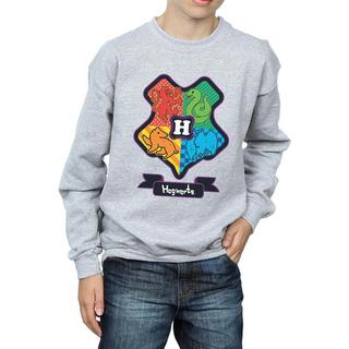 Harry Potter  Sweatshirt 