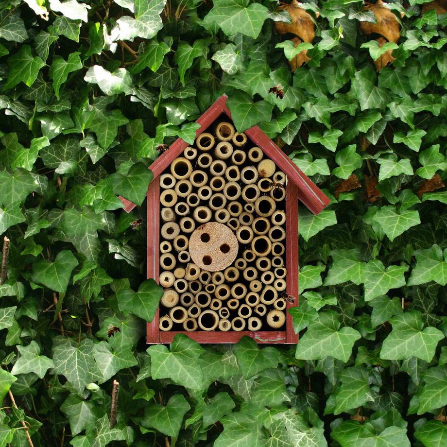 B2X Insektenhotel für Wildbienen in Rot  