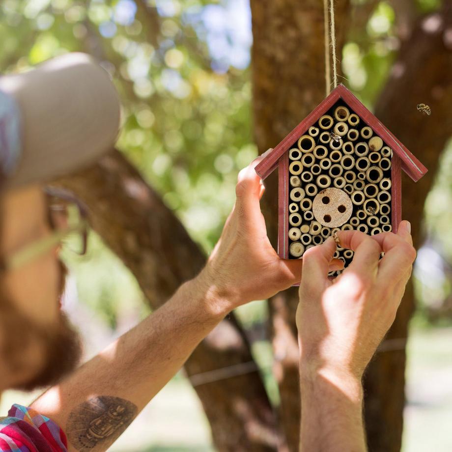 B2X Insektenhotel für Wildbienen in Rot  